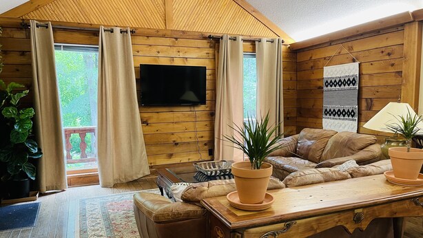 L’intérieur chaleureux d’un chalet avec un plafond en bois, un téléviseur à écran plat fixé au mur, un ensemble de canapés, une table en bois et une plante en pot.