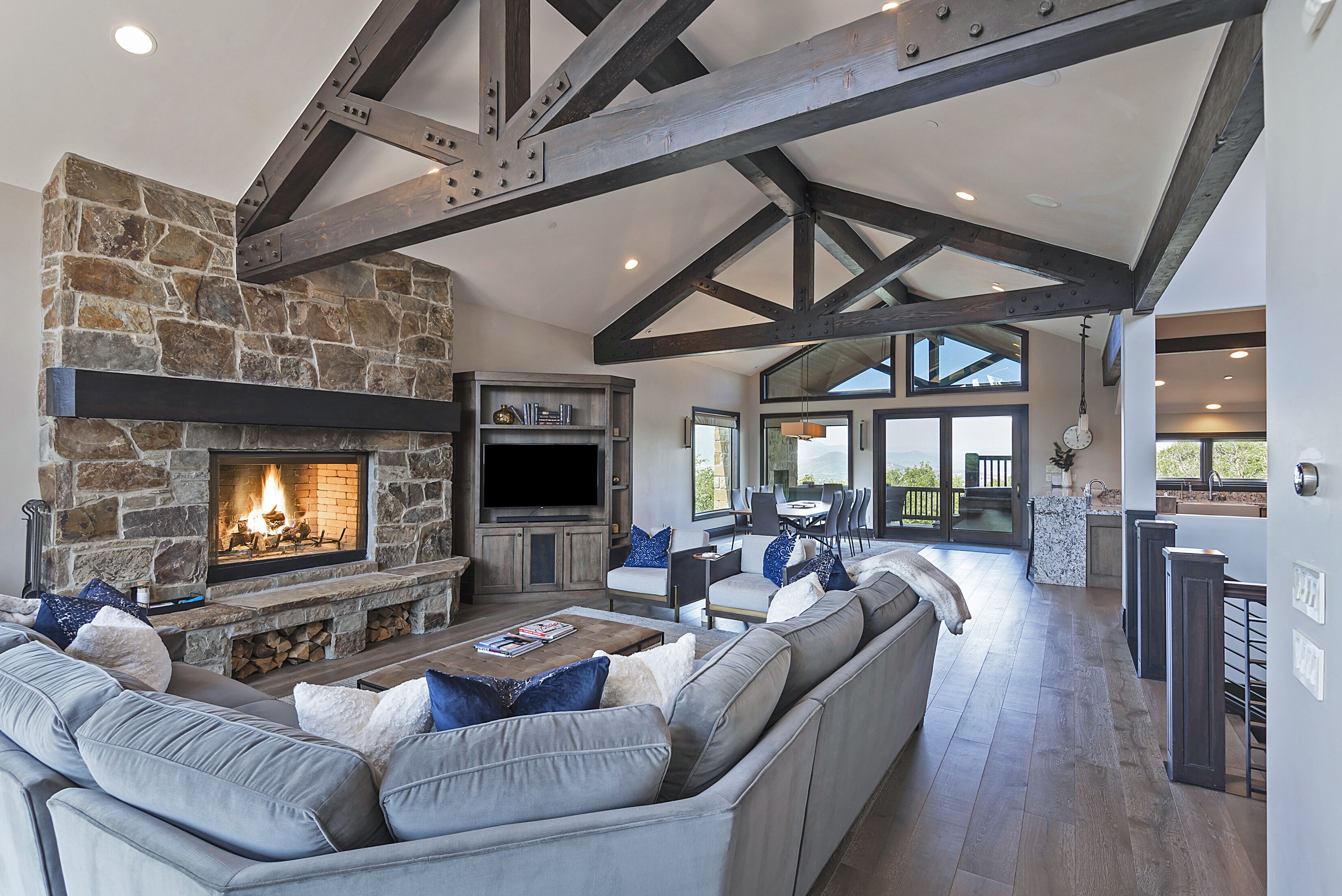 Smart TV, fireplace, video games, books