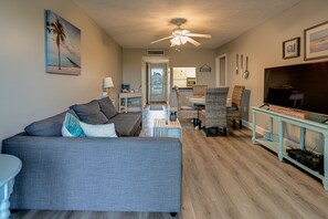 Smart TV, DVD player, books, video library