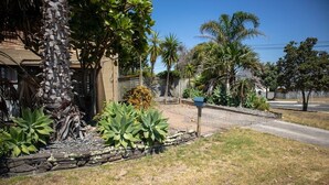 Zona residencial con una casa, un muro de piedra y diversas plantas, incluyendo palmeras y suculentas.