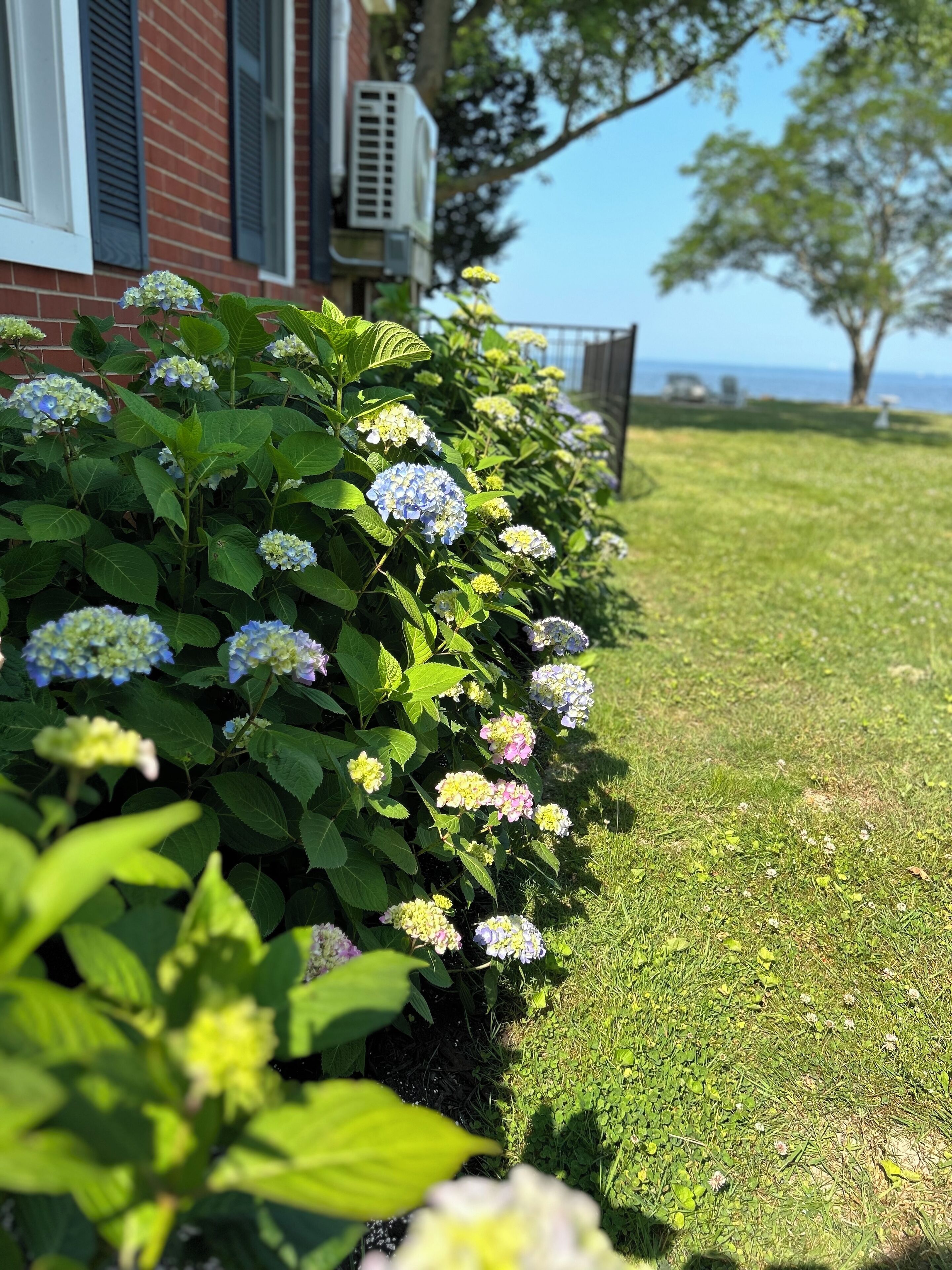 Terrein van de accommodatie