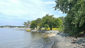 Un paseo fluvial con costa rocosa, árboles y un puerto deportivo a lo lejos.
