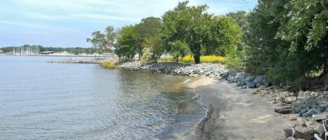 En strandpromenad längs floden med en stenig strand, träd och en hamn i fjärran.