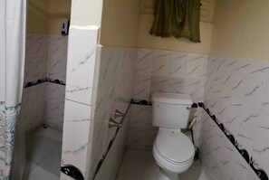 Shower, towels, soap, toilet paper