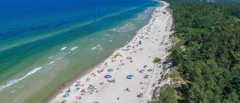 Playa en los alrededores y pesca