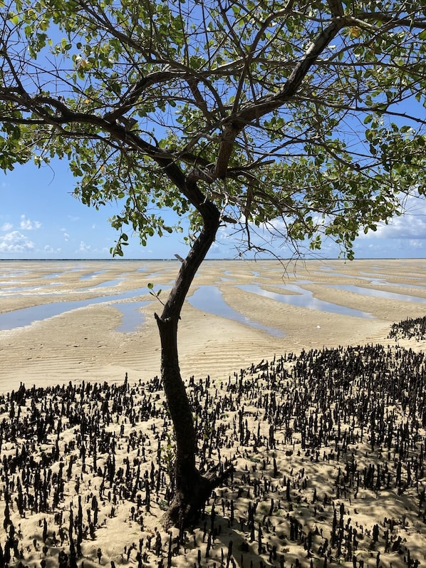 Perto da praia