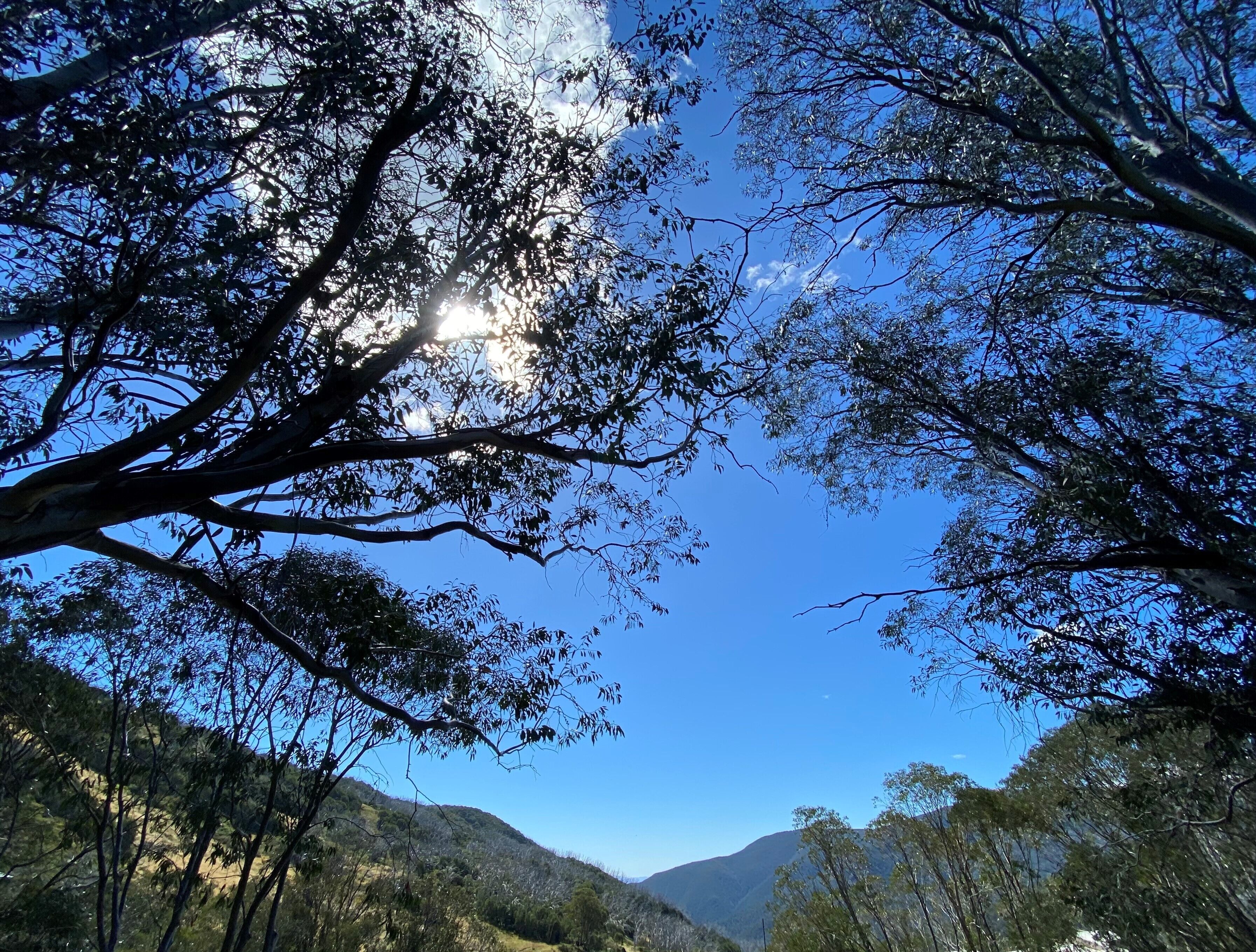Winterhaven 2 - Large apartment in a great location — image 12