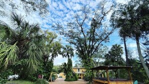 Un jardín con un sendero de ladrillo que lleva a una estructura de madera, rodeado de árboles y plantas diversas.