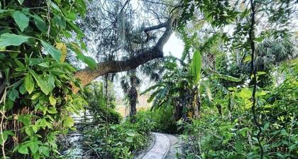 Sleeps 20+, 2 houses, Swim-Spa, hot tub, bachelor and party place