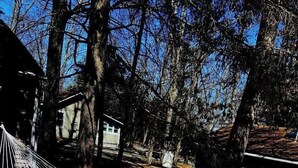 Una hamaca en un área boscosa con árboles y una casa al fondo.