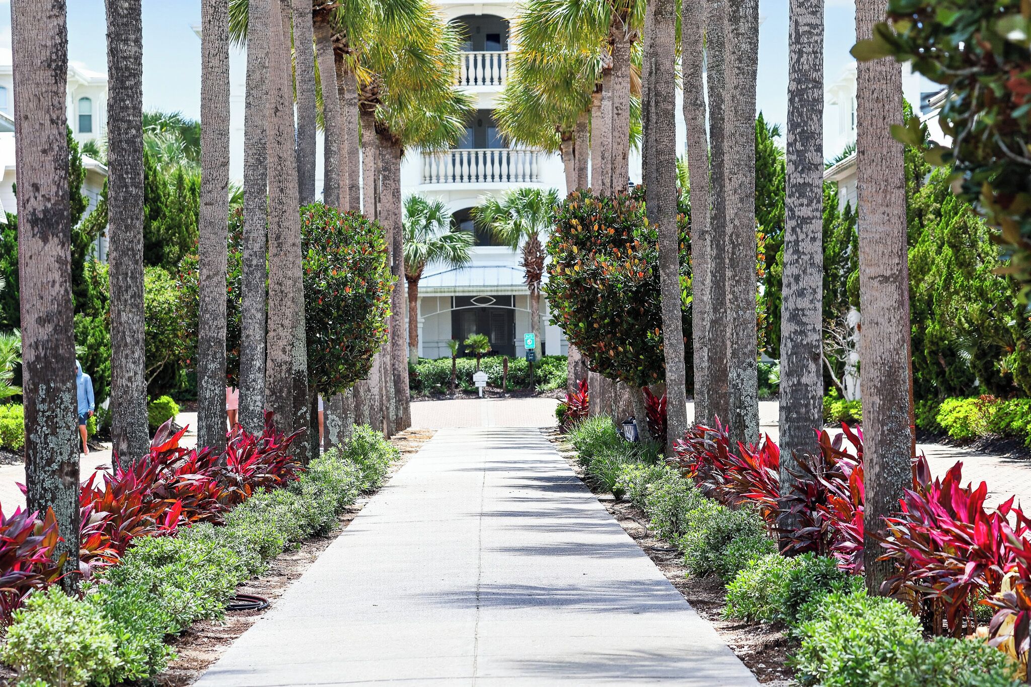 A pathway lined with palm trees and red-leafed plants, leading to a building with a balcony.