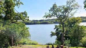 Un espacio al aire libre junto al lago con una fogata, rodeado de árboles y vistas al lago.