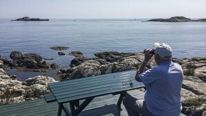 Un homme est assis à une table de pique-nique verte, près d’une côte rocheuse, avec une eau calme et des îles qui se dessinent à l’horizon.