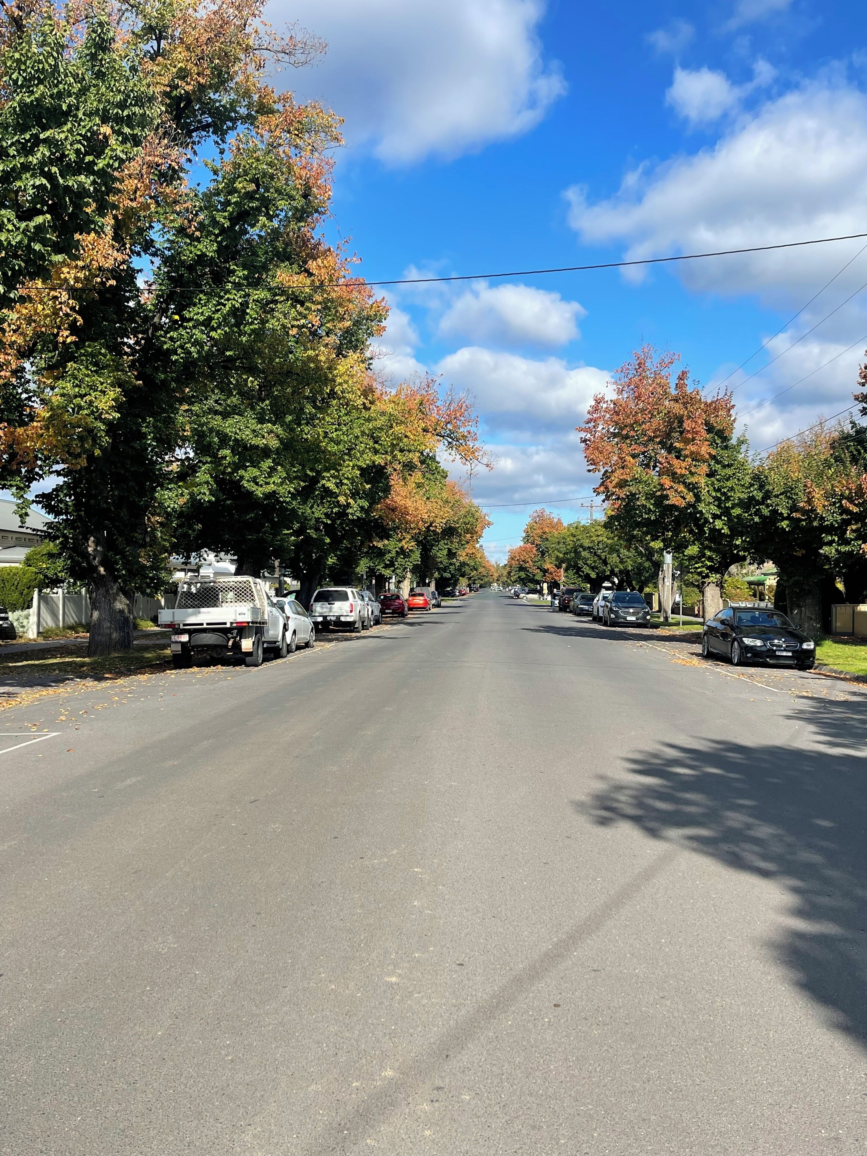Una strada residenziale fiancheggiata da auto parcheggiate e alberi con foglie autunnali.