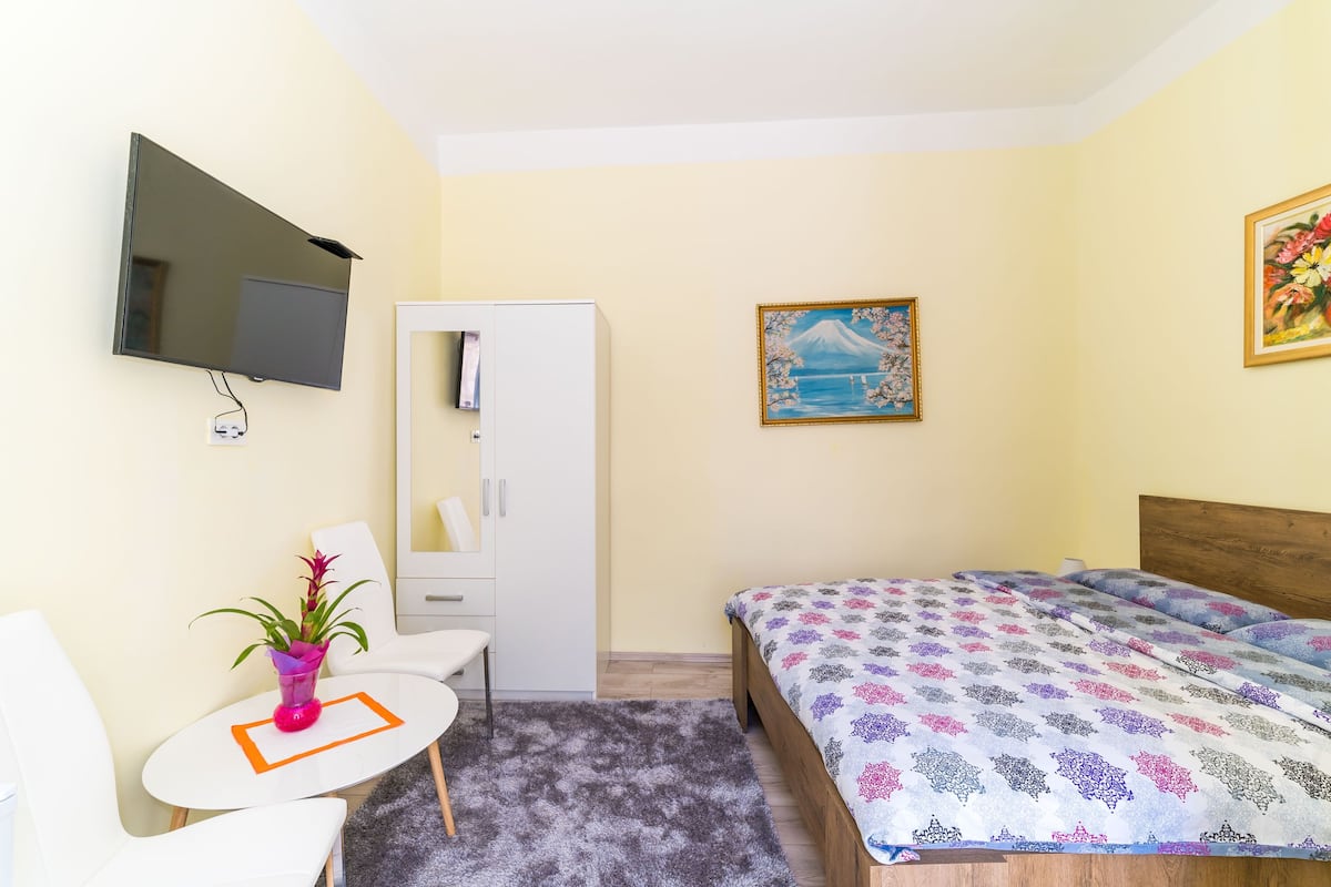 A bedroom with a bed, a TV, a desk with a chair, and a potted plant.