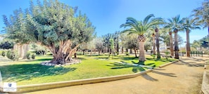 Área da propriedade