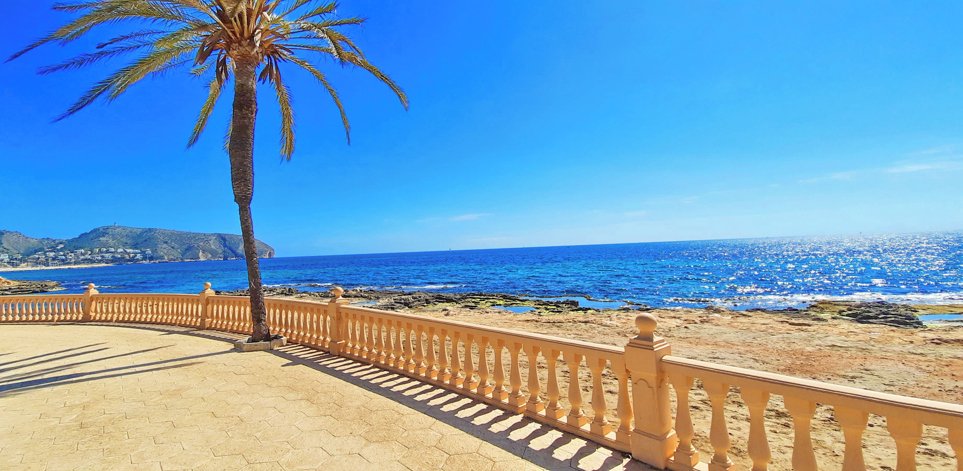 A coastal walkway with a palm tree, a clear blue sky, and a view of the sea.