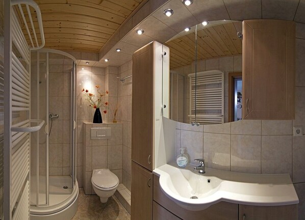 Shower, hair dryer, towels, soap