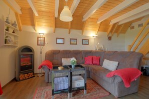 Televisión y chimenea 