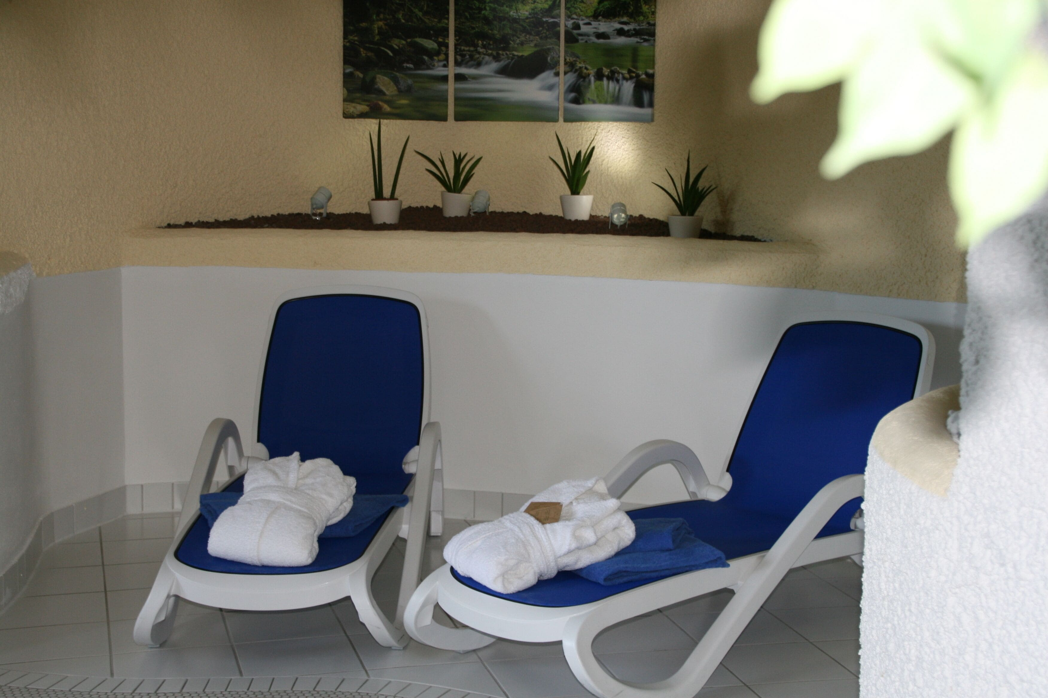 Sauna y baño de vapor 