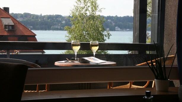 A view from a window with two glasses of white wine on a tray, a chair, and a potted plant. - Hotel Schloss Berg (Berg)