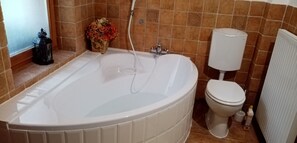 Ensemble douche/baignoire, sèche-cheveux, serviettes fournies