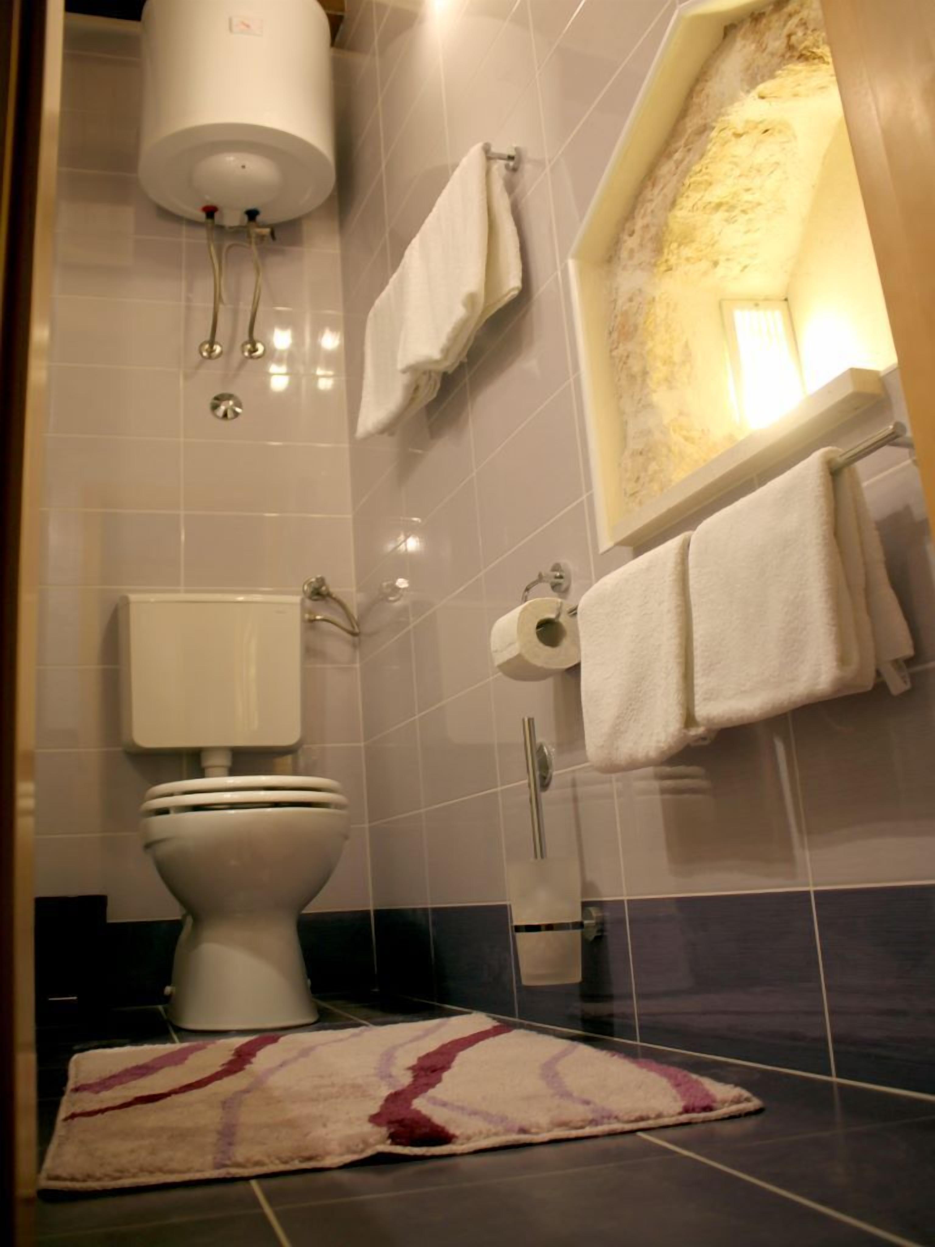Une salle de bain comprenant des toilettes, un porte-serviettes, un espace douche et un tapis sur le sol.