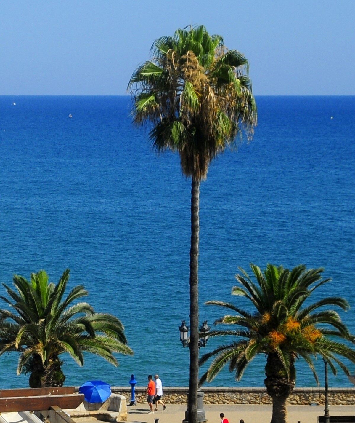 Wohnung 1 Schlafzimmer, mit Garten