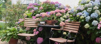 Double room - Neckar berth