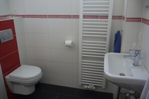 Ducha, secador de pelo, toallas, jabón