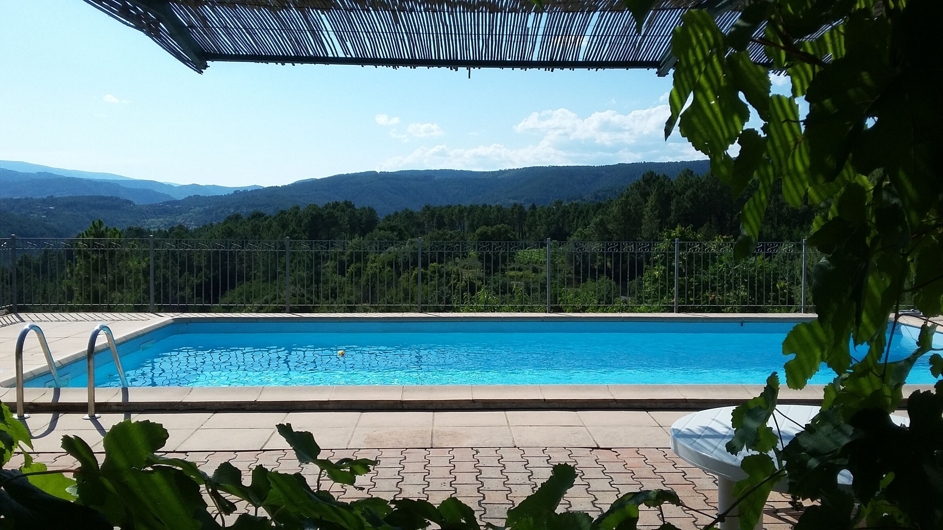 Ein Schwimmbecken mit Blick auf Berge und Bäume.