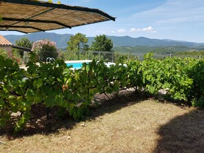 Property grounds - Le Vignal complet, beautiful spacious house with private pool in the Ardèche (Chambonas)