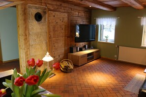 Télévision, cheminée, livres, chaîne hi-fi