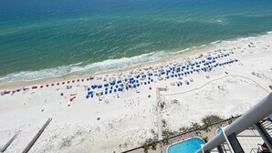 A beach with rows of umbrellas and sun loungers, a swimming pool, and a view of the ocean. - New to the Rental Market, Newly Owner, Newly Renovated!!! (Orange Beach)