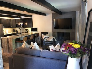 TV, fireplace - Location, location. Walk to ski runs and restaurants. Designer remodeled retreat (Aspen)