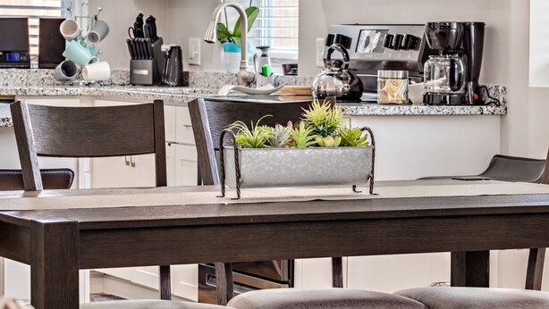 A modern kitchen with a dining area, featuring a granite countertop, stainless steel appliances, and a potted plant on the table. - Entire House;  20 min to Beaches, Downtown Charleston, 6 min to Airport, Outlets (North Charleston)