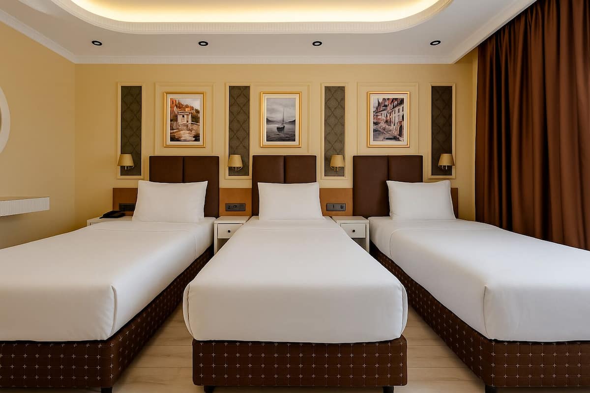 Phòng 3 Deluxe | Bộ trải giường bằng vải cotton Ai Cập, bộ đồ giường cao cấp, minibar 