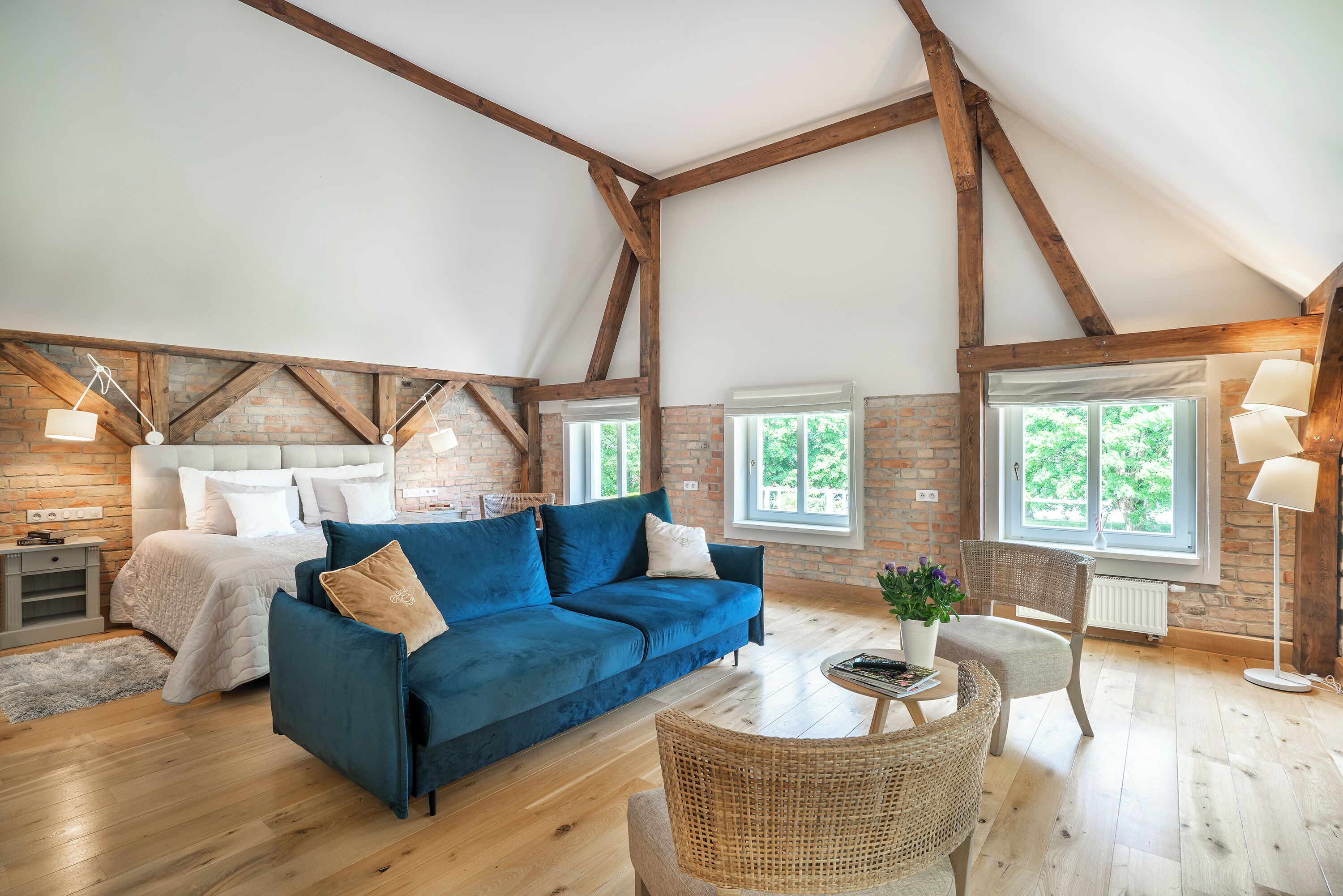 Fernseher, DVD-Player, Bücher, Videothek