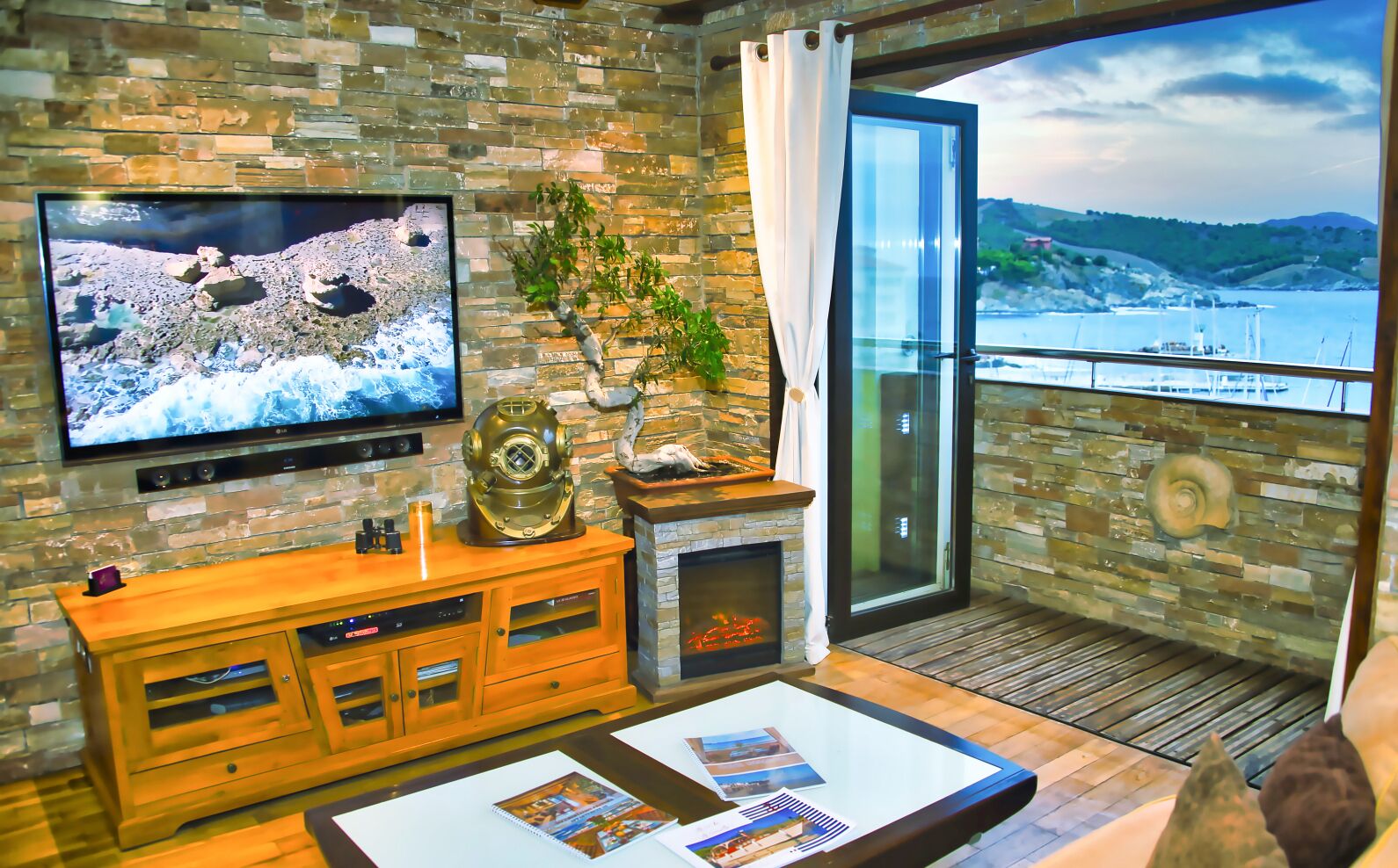 Télévision, cheminée, lecteur de DVD, livres