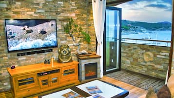 Télévision, cheminée, lecteur de DVD, livres