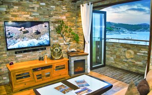 Télévision, cheminée, lecteur de DVD, livres