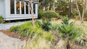 A house with a covered porch, surrounded by a variety of plants and trees.