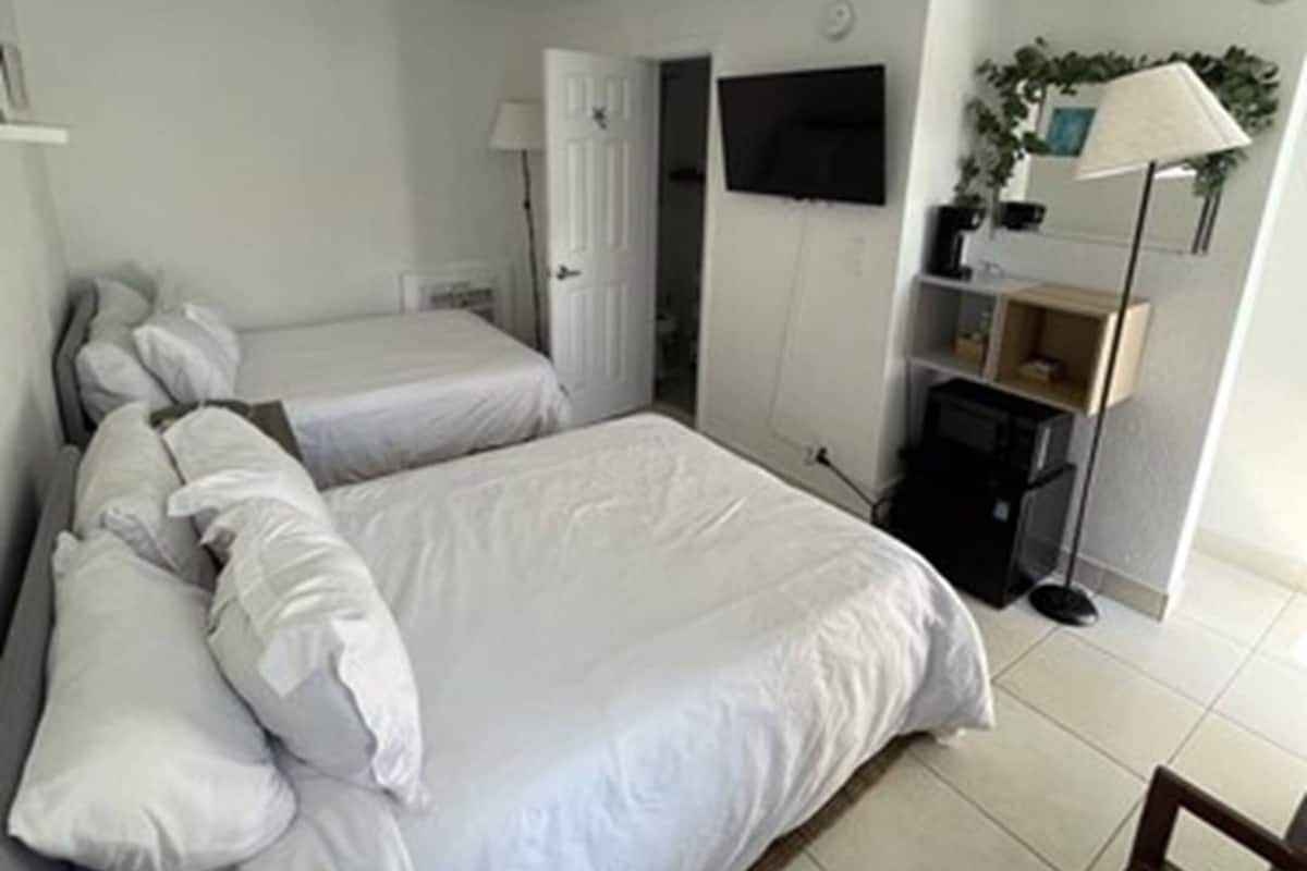 A hotel room with two single beds, a desk, a chair, a TV mounted on the wall, and a plant on a shelf.