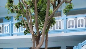Ein Gebäude mit blauen Türen und einer Treppe.