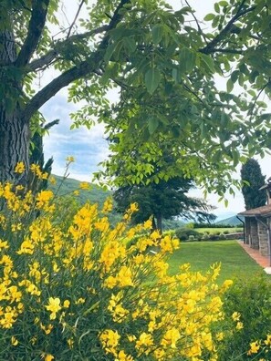 Parco della struttura