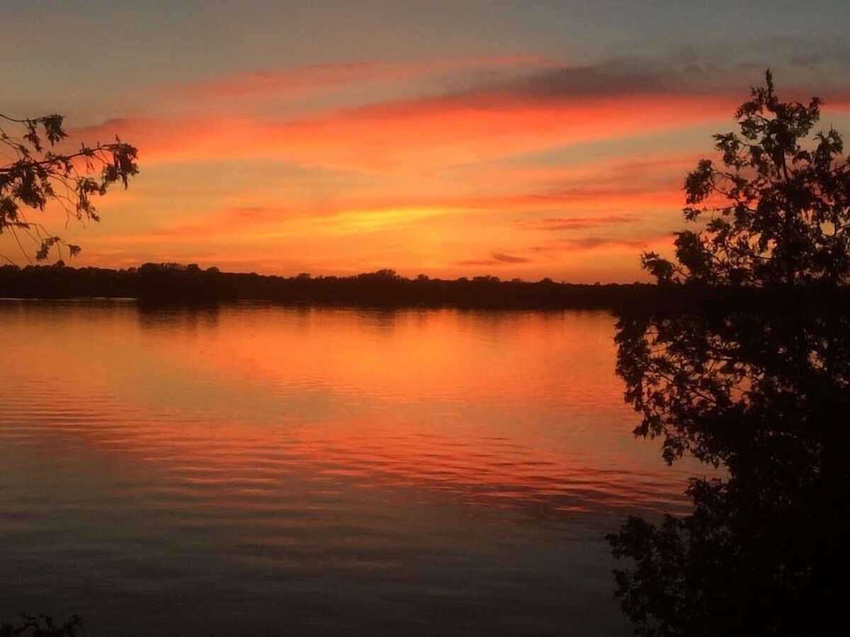 Imagen de perfil del propietario o de la propietaria