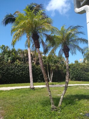 المنطقة المحيطة بالمنشأة