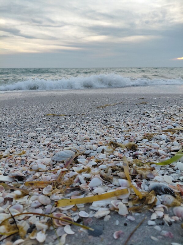 A beach with pebbles and shells, waves in the background, and a cloudy sky.