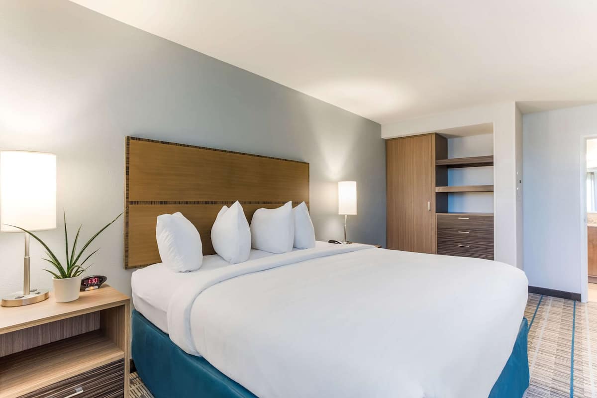 A hotel room with a large bed, bedside tables, a nightstand, a potted plant, and a wardrobe.