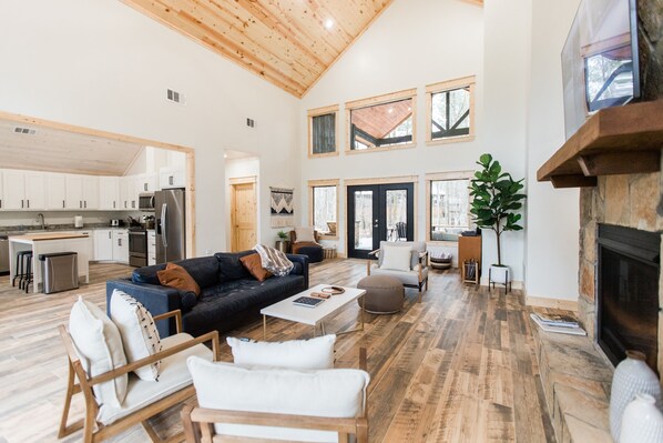 TV, fireplace, books